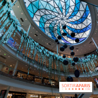 Exposition Monstera Dubia à Beaugrenelle