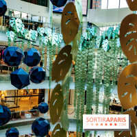 Exposition Monstera Dubia à Beaugrenelle