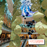 Exposition Monstera Dubia à Beaugrenelle