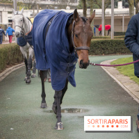 Les Dimanches au Galop 2018