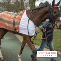 Les Dimanches au Galop 2018