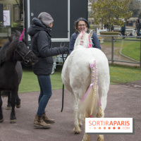 Les Dimanches au Galop 2018