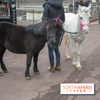 Les Dimanches au Galop 2018