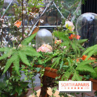 Le T'Time du Jardin Privé, délicieuse bulle gourmande à Châtelet Les Halles