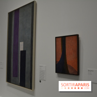 Kupka, Pionnier de l'abstraction, les photos de l'expo au Grand Palais
