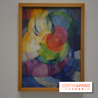 Kupka, Pionnier de l'abstraction, les photos de l'expo au Grand Palais