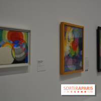 Kupka, Pionnier de l'abstraction, les photos de l'expo au Grand Palais