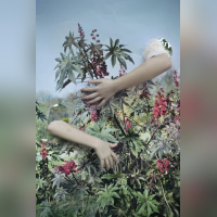 Circulation(s) 2018, festival photographique au 104