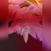 Circulation(s) 2018, festival photographique au 104