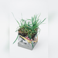 Circulation(s) 2018, festival photographique au 104