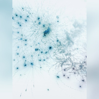 Circulation(s) 2018, festival photographique au 104