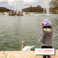 Les Grandes Eaux Musicales 2018 au Château de Versailles