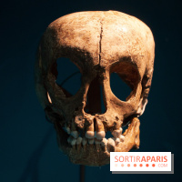 Exposition Néanderthal au Musée de l'Homme