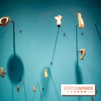 Exposition Néanderthal au Musée de l'Homme