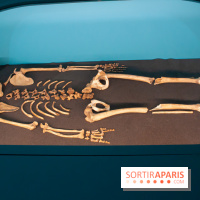 Exposition Néanderthal au Musée de l'Homme