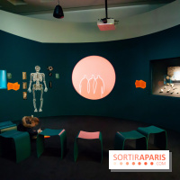 Exposition Néanderthal au Musée de l'Homme