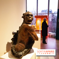 Exposition Néanderthal au Musée de l'Homme