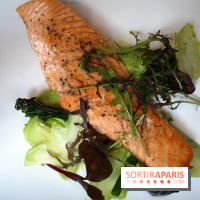 Patchanka à Paris : l’excellent bistrot Latino du 11ème arrondissement