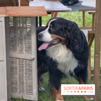 Week-end de reconstitution historique au Musée de la Grande Guerre : les photos