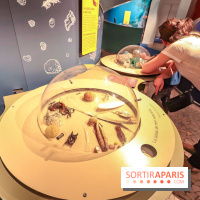 Exposition Cyclops à l'Aquarium Tropical de Paris