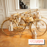 Two Cows, Subodh Gupta, 2003-2008