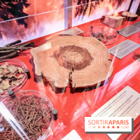 Exposition Feu à la Cité des Sciences