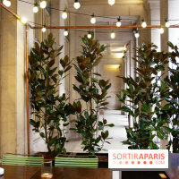 Dépôt Légal dévoile sa terrasse couverte et gourmande