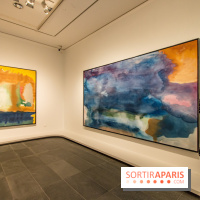 Les Nymphéas et artistes abstraits au Musée de l'Orangerie