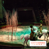 Nature, le spectacle équestre à Chantilly