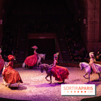 Nature, le spectacle équestre à Chantilly