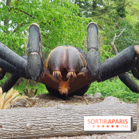 Zoo de Thoiry 2018 : les photos