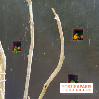 Zoo de Thoiry 2018 : les photos