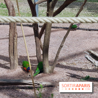 Zoo de Thoiry 2018 : les photos