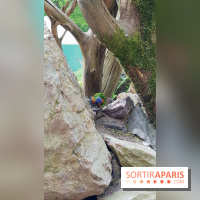 Zoo de Thoiry 2018 : les photos