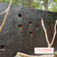 Zoo de Thoiry 2018 : les photos