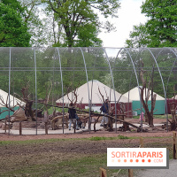 Zoo de Thoiry 2018 : les photos