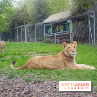 Zoo de Thoiry 2018 : les photos