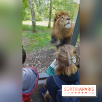 Zoo de Thoiry 2018 : les photos