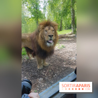 Zoo de Thoiry 2018 : les photos