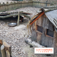 Zoo de Thoiry 2018 : les photos