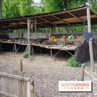 Zoo de Thoiry 2018 : les photos