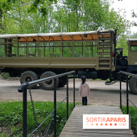 Thoiry 2018 - Safari