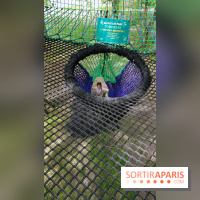 Thoiry 2018 - Safari Air Park