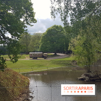 Thoiry 2018 - Safari Air Park