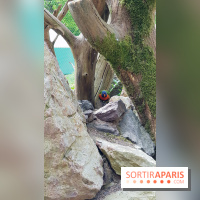 Thoiry 2018 - Trek Australien