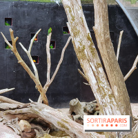 Thoiry 2018 - Trek Australien