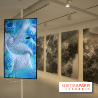 1, 2, 3, Data : les photos