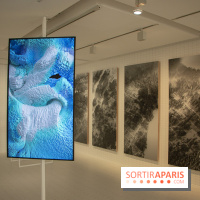 1, 2, 3, Data : les photos