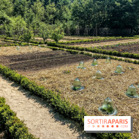 La Maison de la Reine rénovée au Château de Versailles