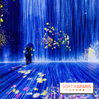 Teamlab : au delà des limites à la Villette, les photos